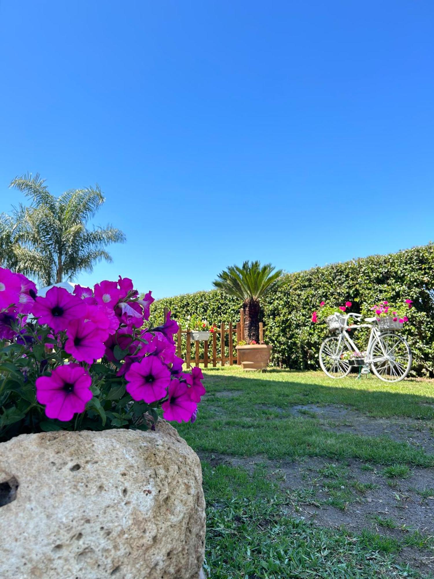 Appartamento Alto Giardino Zambrone Esterno foto