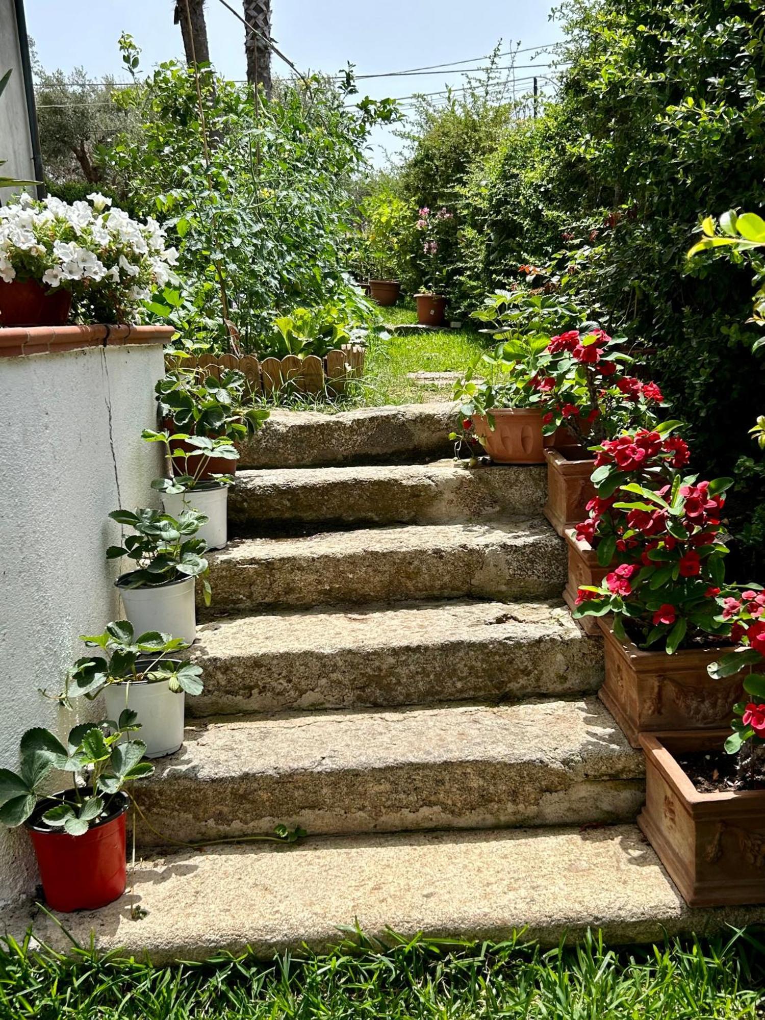 Appartamento Alto Giardino Zambrone Esterno foto